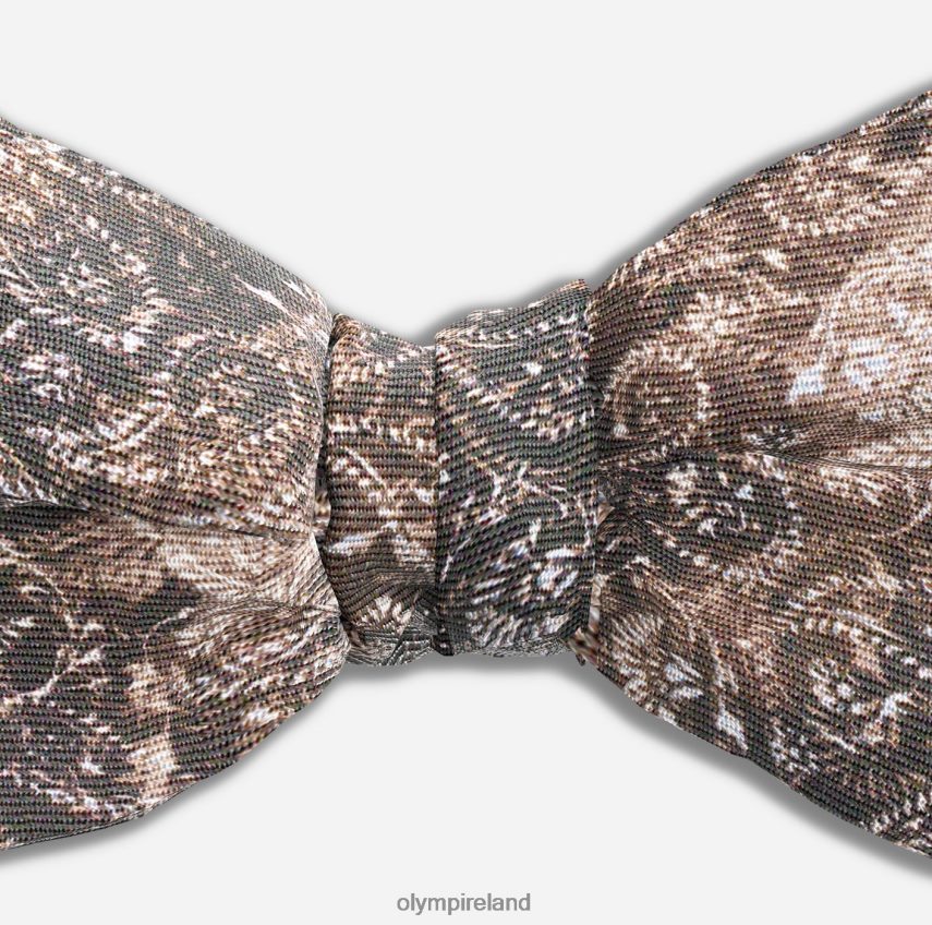 Accessories OLYMP Bow Tie Regular 5,5 Cm, Brown 24L8462503