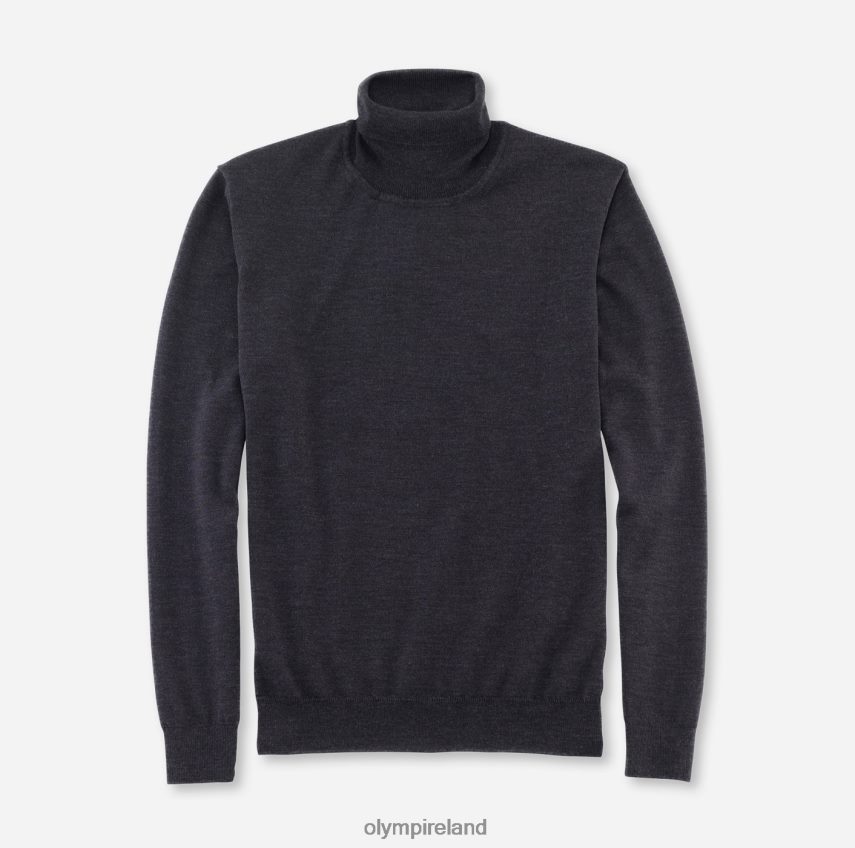 Clothing OLYMP Casual Knitwear Turtleneck, Graphite 24L8461884